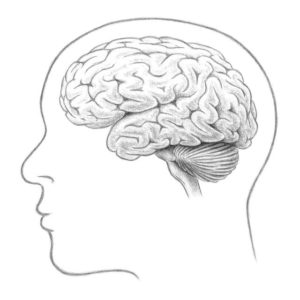 image de méningiome pour assurance emprunteur